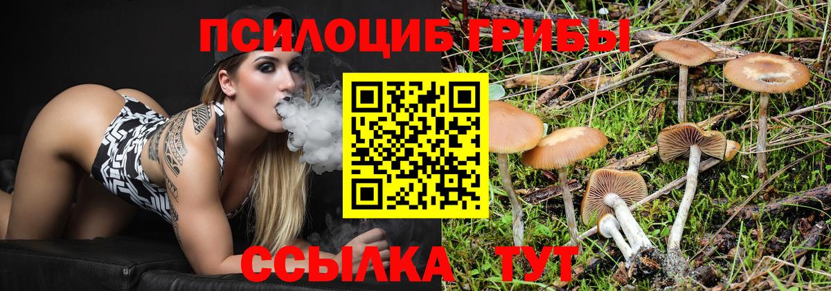 Галлюциногенные грибы Psilocybine cubensis  Вход с VPN  Галлюциногенные грибы GOLDEN TEACHER  Назарово 